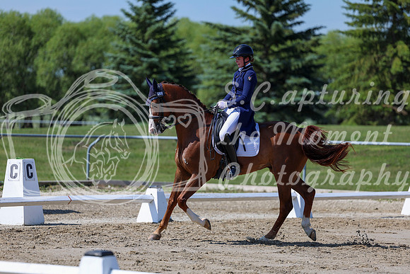 2025 - Dressage Festival - Saturday July 5th - 04277
