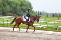 2025 - Dressage Festival - Sunday July 6th - 03591