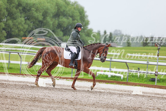 2025 - Dressage Festival - Sunday July 6th - 03591