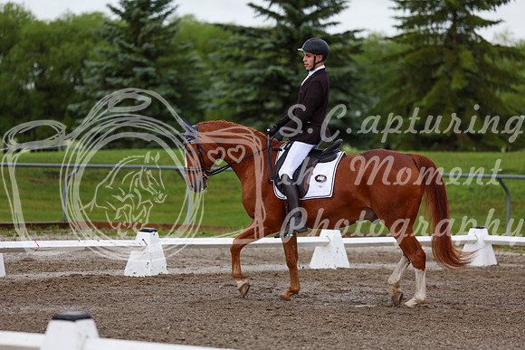 2025 - Dressage Festival - Sunday July 6th - 01334