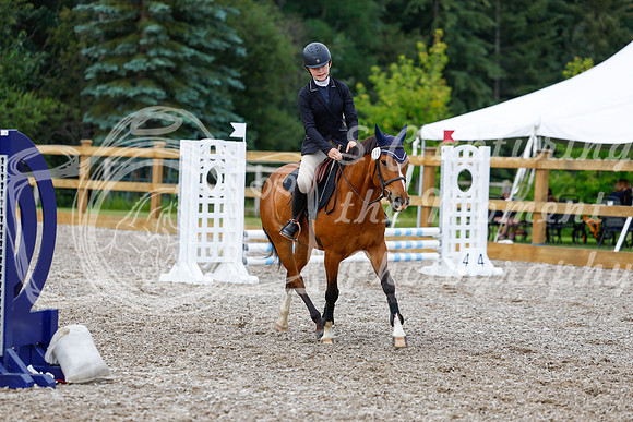 2025 - Haylee - Picco Horse Show - Saturday July 26th 01111