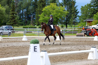 2025 - Dressage Festival - Sunday July 6th - 14396
