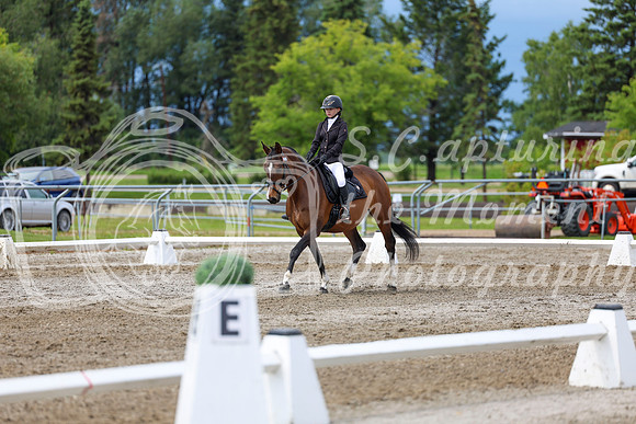 2025 - Dressage Festival - Sunday July 6th - 14396