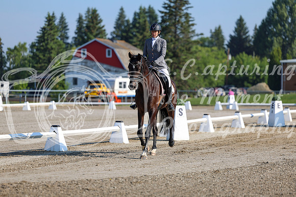 2025 - Dressage Festival - Saturday July 5th - 00102