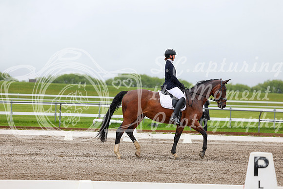 2025 - Dressage Festival - Sunday July 6th - 04260
