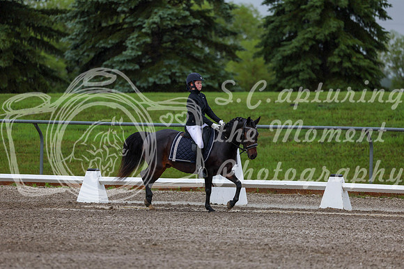 2025 - Dressage Festival - Sunday July 6th - 00033
