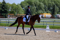 2025 - Dressage Festival - Saturday July 5th - 03979
