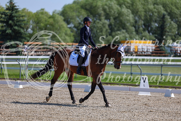 2025 - Dressage Festival - Saturday July 5th - 03979