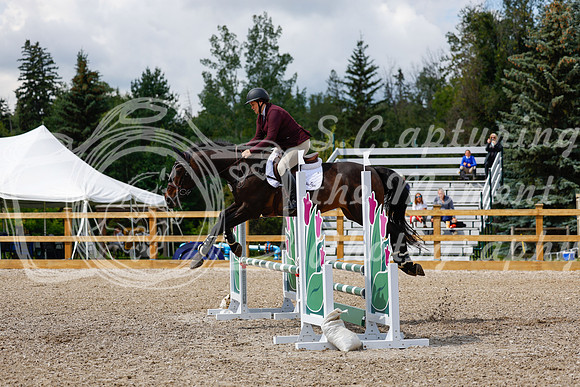 2025 - Haylee - Picco Horse Show - Sunday July 27th 03262
