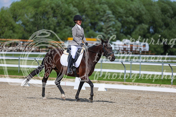 2025 - Dressage Festival - Saturday July 5th - 14553