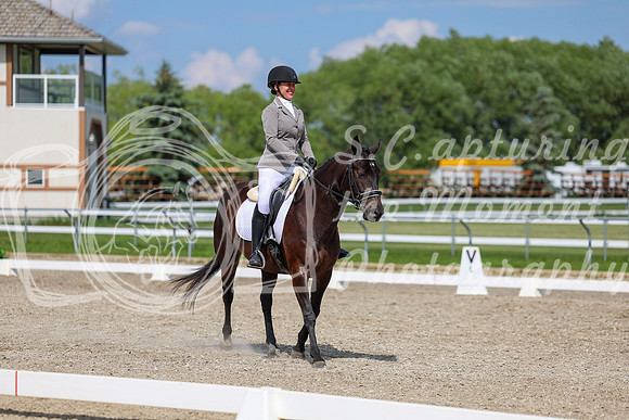 2025 - Dressage Festival - Saturday July 5th - 14616