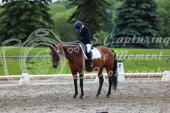2025 - Dressage Festival - Sunday July 6th - 13176