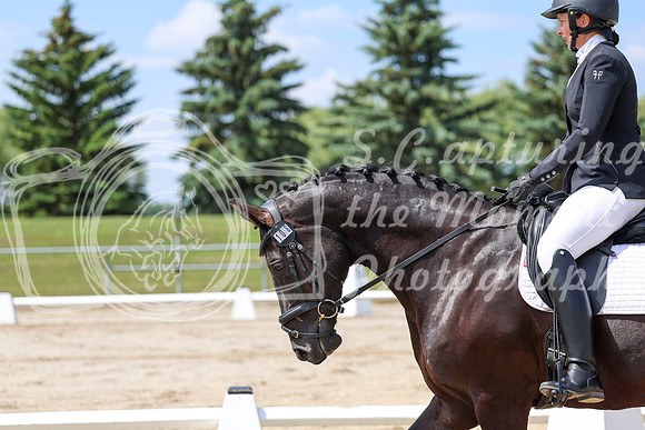 2025 - Dressage Festival - Saturday July 5th - 06970