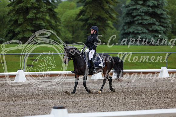 2025 - Dressage Festival - Sunday July 6th - 00002