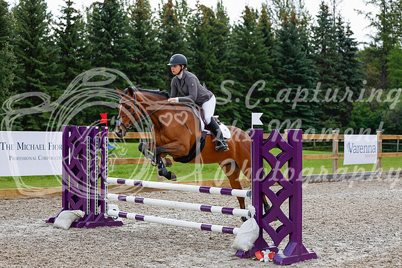 2025 - Haylee - Picco Horse Show - Sunday July 27th 02572