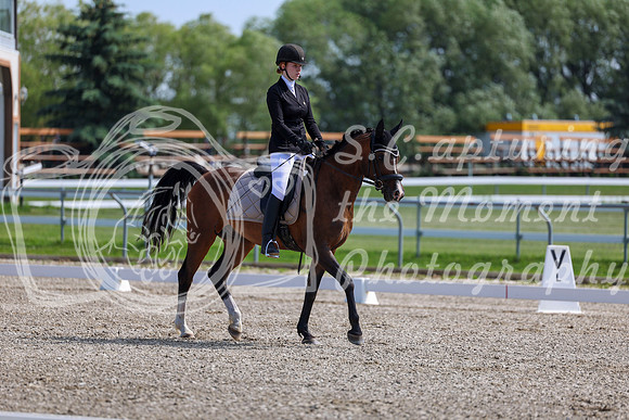 2025 - Dressage Festival - Saturday July 5th - 03094