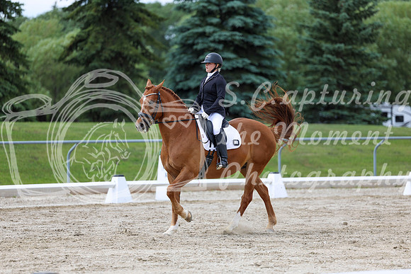 2025 - Dressage Festival - Saturday July 5th - 11179
