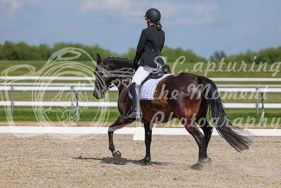 2025 - Dressage Festival - Saturday July 5th - 15244