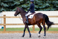 2025 - Haylee - Picco Horse Show - Friay July 25th 00986