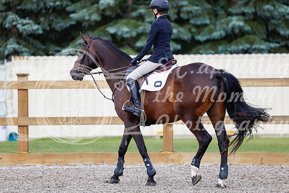 2025 - Haylee - Picco Horse Show - Friay July 25th 00986