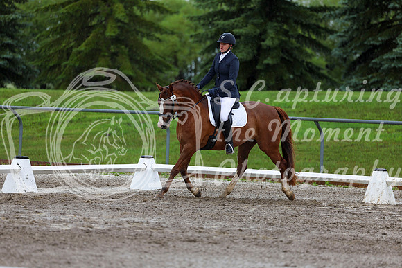 2025 - Dressage Festival - Sunday July 6th - 05318