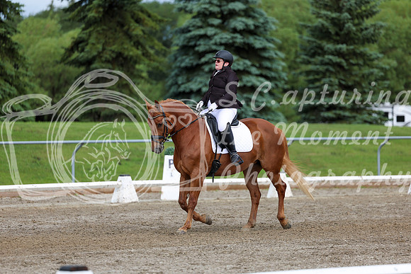 2025 - Dressage Festival - Sunday July 6th - 11297