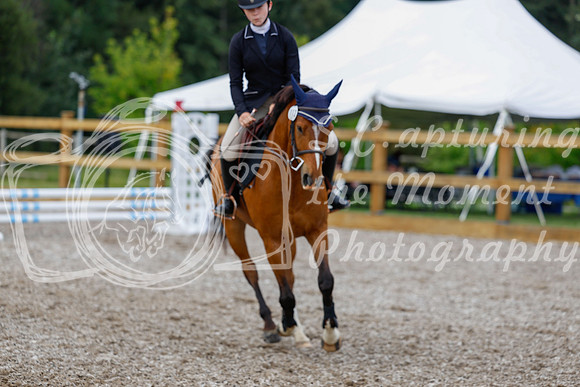 2025 - Haylee - Picco Horse Show - Saturday July 26th 01116