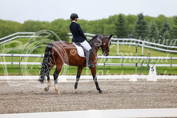 2025 - Dressage Festival - Sunday July 6th - 04262