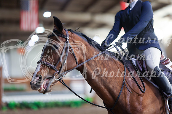 2025 - HJ Schooling - Saturday March 22nd - 5678