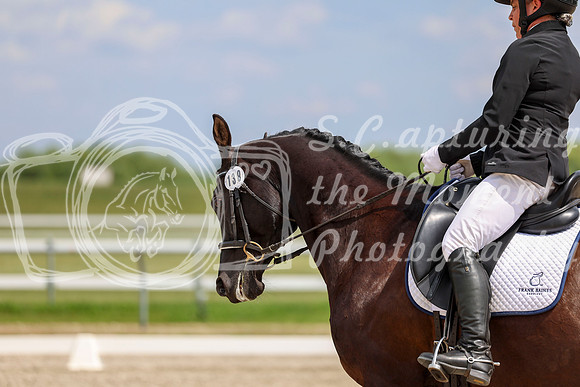 2025 - Dressage Festival - Saturday July 5th - 11469