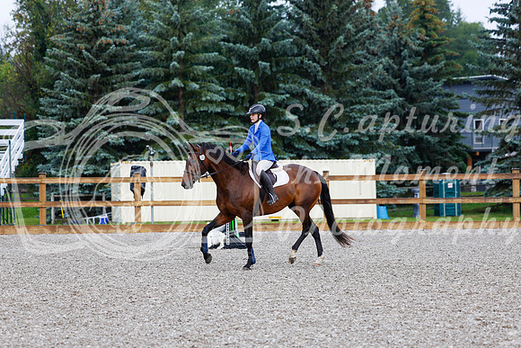 2025 - Haylee - Picco Horse Show - Sunday July 27th 00018