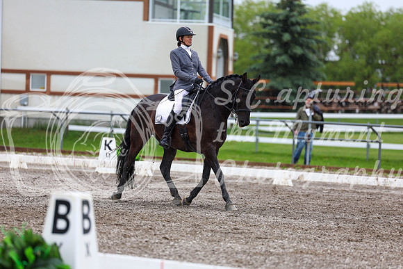 2025 - Dressage Festival - Sunday July 6th - 06972