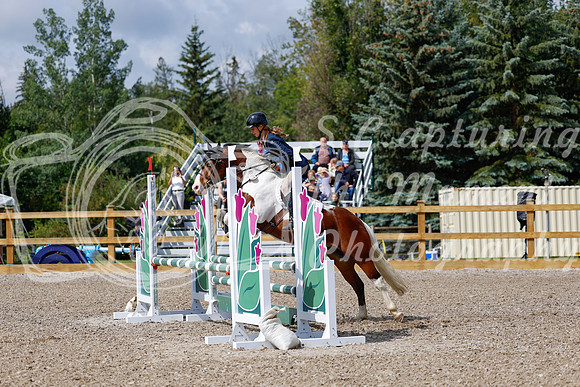 2025 - Haylee - Picco Horse Show - Sunday July 27th 02466