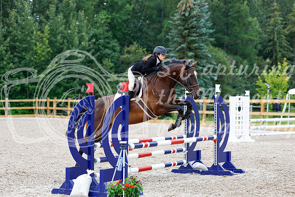 2025 - Haylee - Picco Horse Show - Saturday July 26th 04321