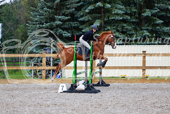 2025 - Haylee - Picco Horse Show - Sunday July 27th 02182