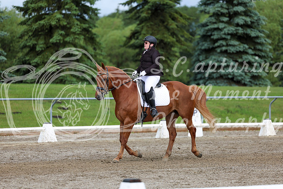 2025 - Dressage Festival - Sunday July 6th - 11303