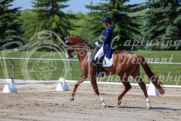 2025 - Dressage Festival - Saturday July 5th - 04266