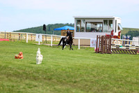 2025 - Shea - Teesdale - Thursday July 24th - 03901