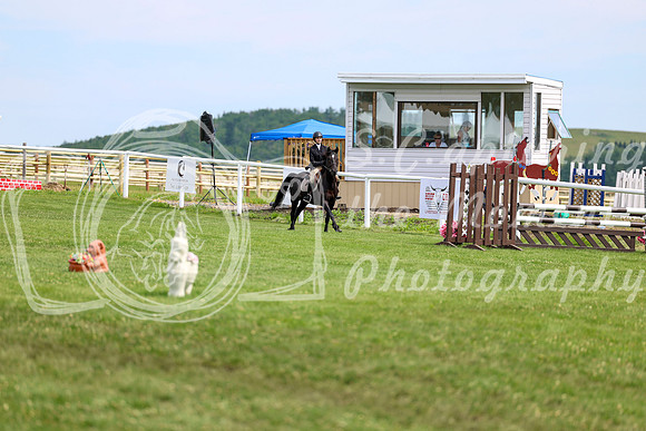 2025 - Shea - Teesdale - Thursday July 24th - 03901