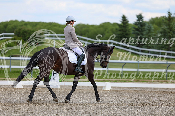 2025 - Dressage Festival - Saturday July 5th - 10686