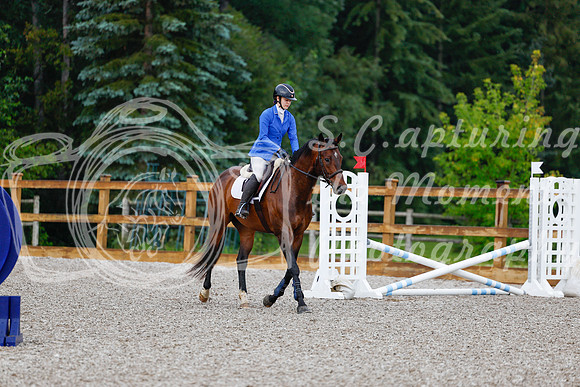 2025 - Haylee - Picco Horse Show - Sunday July 27th 00003
