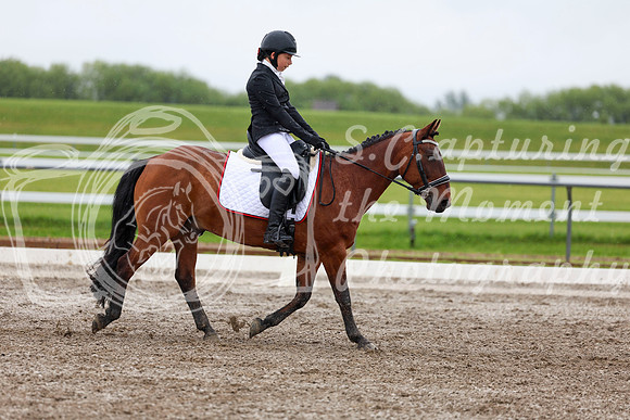 2025 - Dressage Festival - Sunday July 6th - 05579