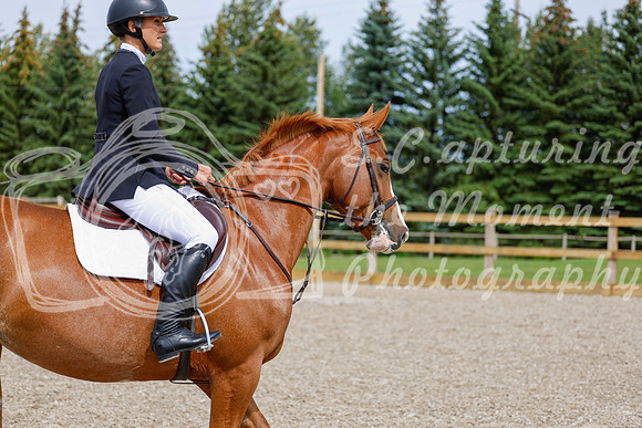 2025 - Haylee - Picco Horse Show - Friay July 25th 04218