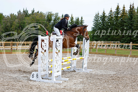 2025 - Haylee - Picco Horse Show - Friay July 25th 01942