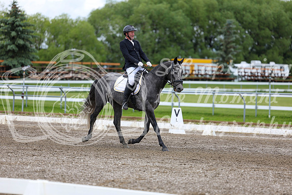 2025 - Dressage Festival - Sunday July 6th - 09877