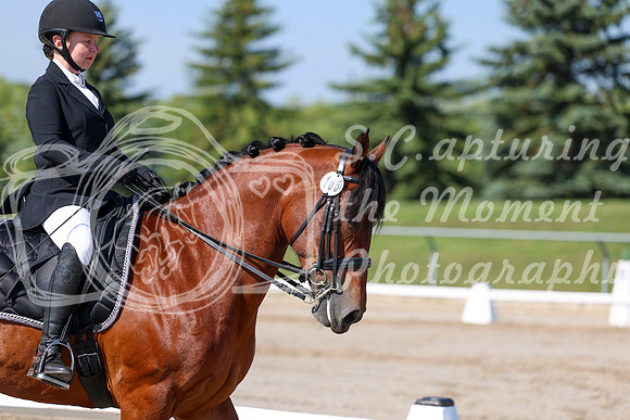 2025 - Dressage Festival - Saturday July 5th - 01862