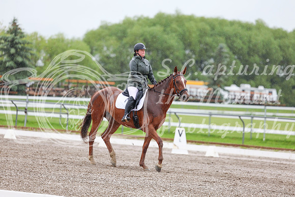 2025 - Dressage Festival - Sunday July 6th - 03577