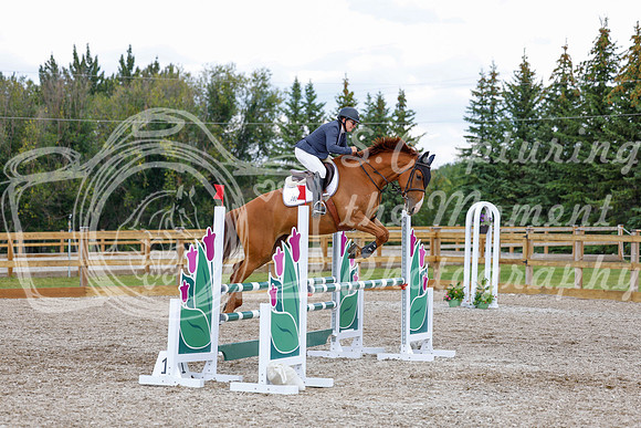 2025 - Haylee - Picco Horse Show - Saturday July 26th 07282