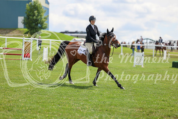 2025 - Shea - Teesdale - Friday July 25th - 05504