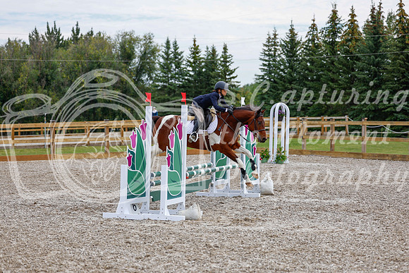 2025 - Haylee - Picco Horse Show - Saturday July 26th 01849
